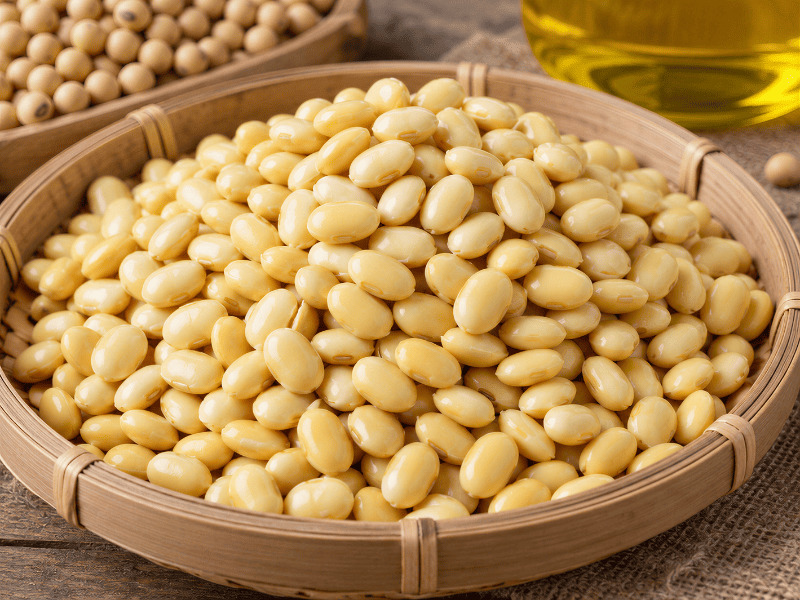 Soybean for oil pressing